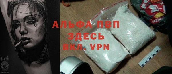 стафф Арсеньев
