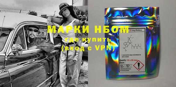 стафф Арсеньев