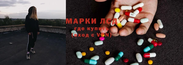 стафф Арсеньев