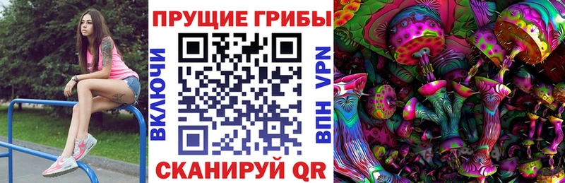 Галлюциногенные грибы Psilocybine cubensis  OMG зеркало  Майкоп  купить  
